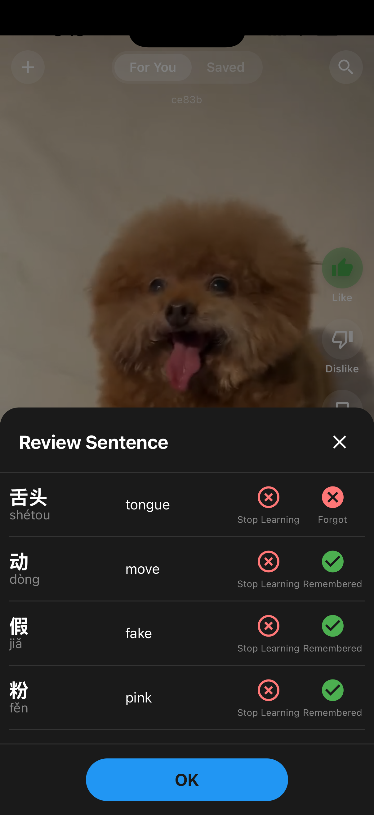 Left swipe vocabulary modal