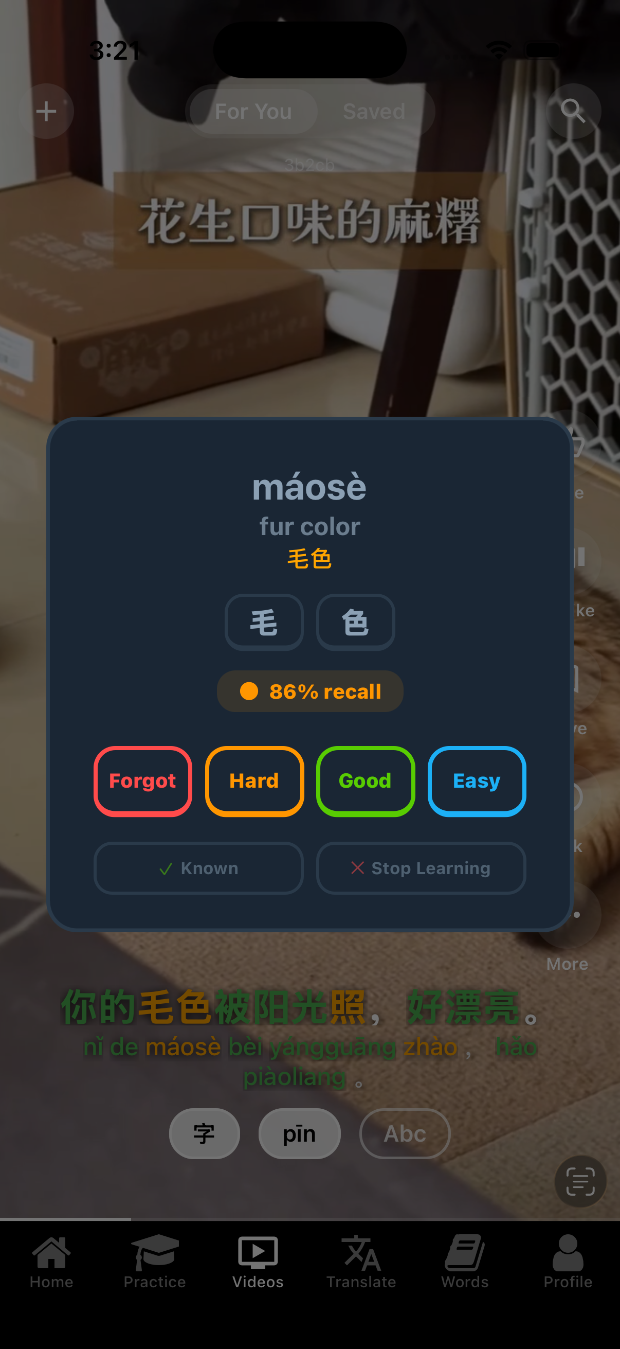 Word detail popup with SRS info